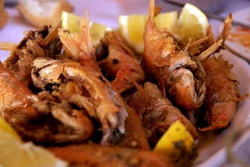 freshfish_luxuryvillaElisabeth